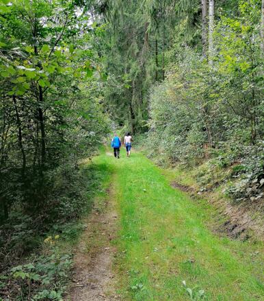 2Wanderer Wiesenweg