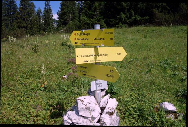 Wegteilung Spitzalm 1370m