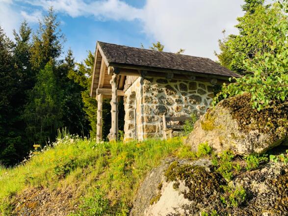 Waldhausen - Kapelle Forsthauf Hinterredt 2020 - Manfred Hinterdorfer