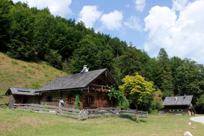 Brunntalalm Weißenbachrunde Bad Goisern