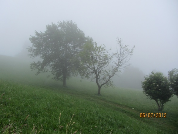 Dünserberg-Rongelonsch