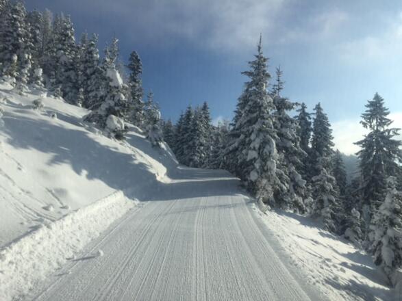 Winterwandern