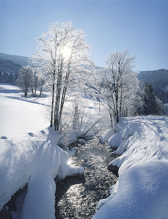 Winterlandschaft