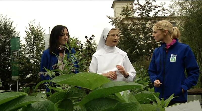 Donausteig - Wandertipp Feldkirchen Rundweg: Schlösserrunde