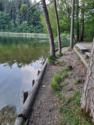 See im Naturschutzgebiet Eggstätt-Hemhofer Seenplatte