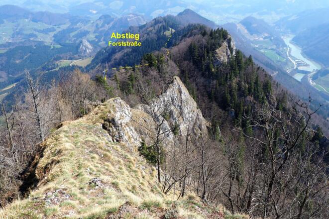 Abstieg am Ostgrat zur Lichtung ~1040m (weglos)