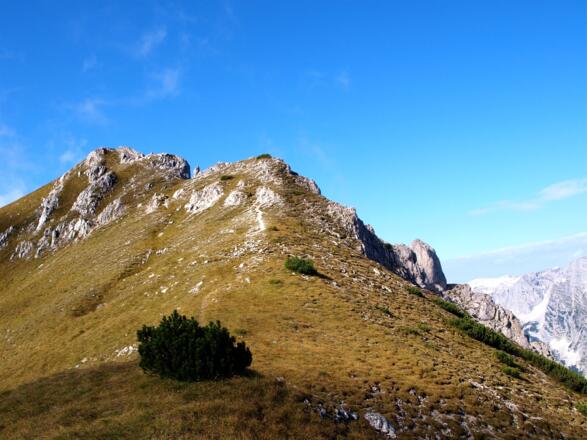 Am Südosthang um 1895m