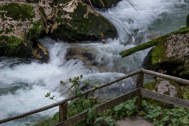 Waldbach im Echerntal von Hallstatt