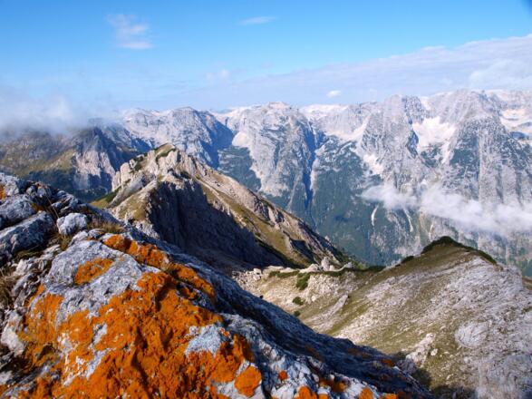 Blick vom Hirscheck zum nahen Almkogel