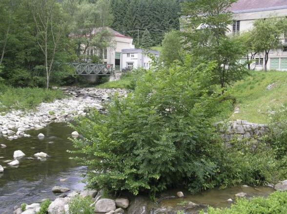 Feldbahnweg