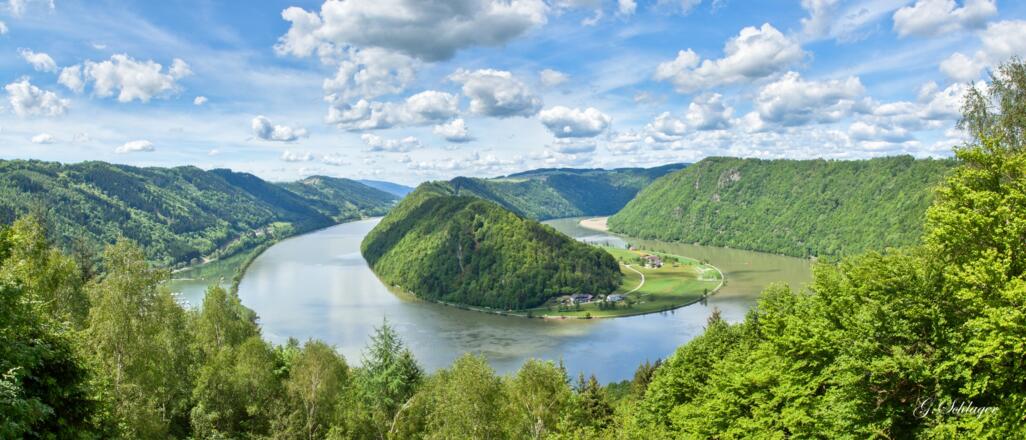 Schlögener Donauschlinge