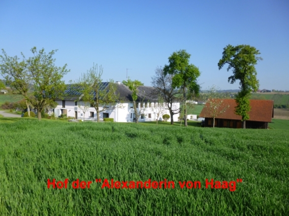 Weg des Buches Pilgerweg Oberösterreich