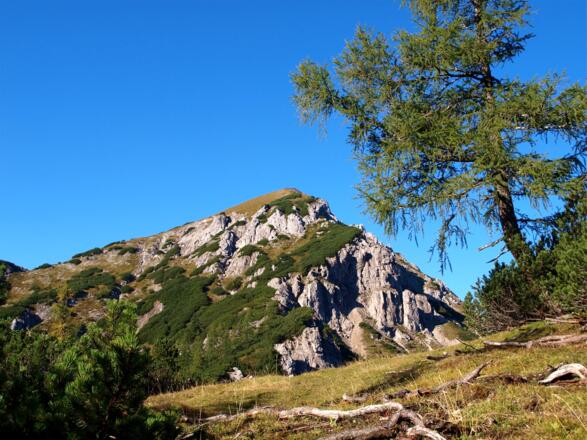 Blick zum nahen Hirscheck
