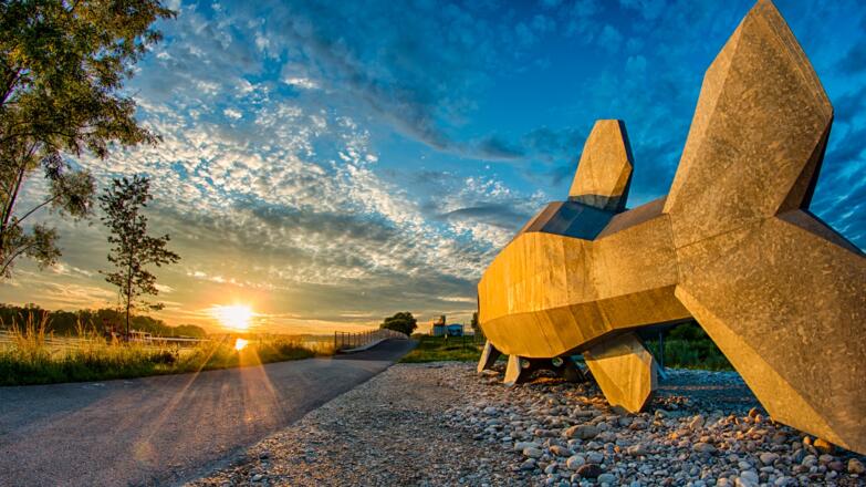 Aulehrpfad - Fisch Doni