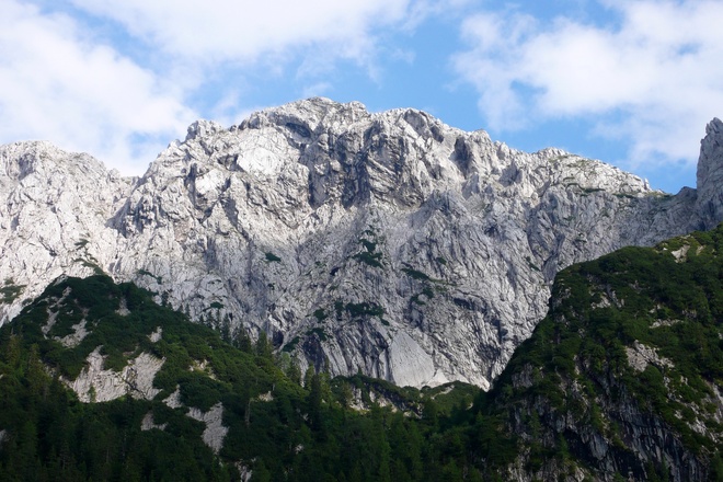 Scheffauer