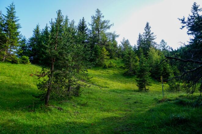 Voldöpper Spitze ab Brandenberg
