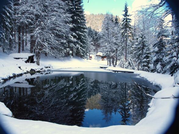 Teich Dietlreit 735m