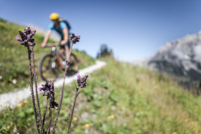 Biken