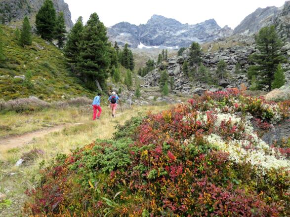 Weiter geht es Richtung Schönrinnenkar, das vom Lochkogel (3043 m) abgeschlossen wird.
