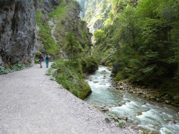 ein rollstuhlgerechter Weg - und doch mitten in der Wildnis