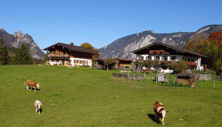 Bauernhof im Herbst mit Blick auf den Untersberg