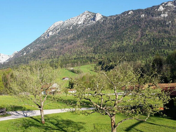 Blick auf den Gamskogel