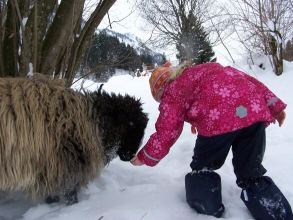 anni-füttert-tchibo-im-schnee