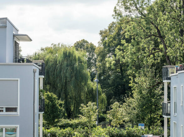 Blick vom Balkon Richtung Kurpark