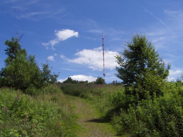 Wir wandern auf schöner Strecke auf den Heidelstein.