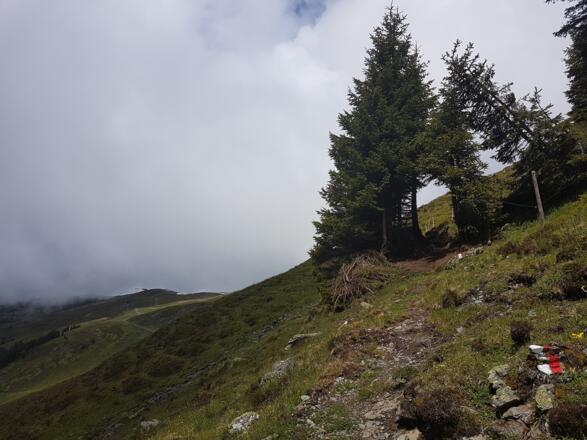 Hochalmsteig