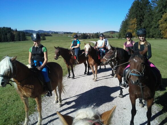 Fohlenhof Sengmüller Pfronten