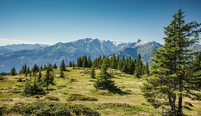 Hochsonnberg