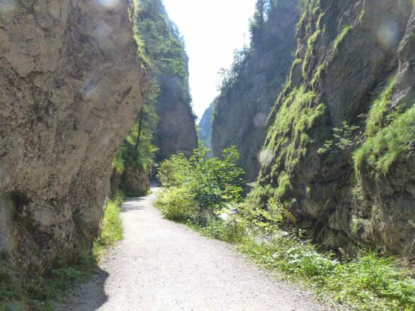 grün und wild windet sich die Klamm