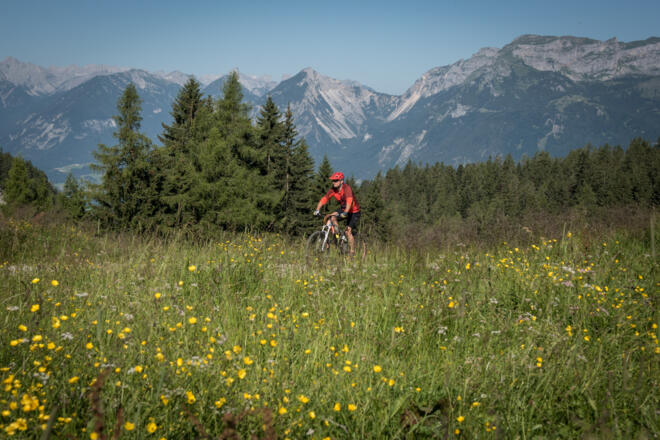Mountainbiker auf dem Weg zur Holzalm