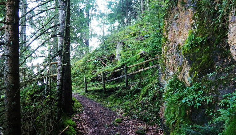 Waldweg Kleine Salve 69