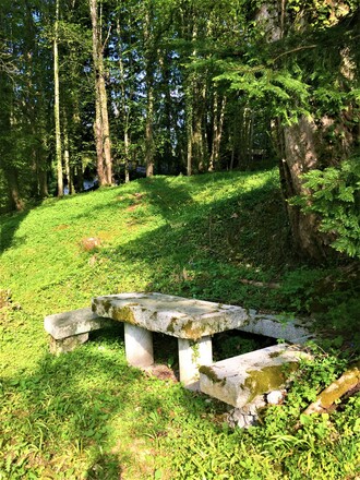 Sitzgelegenheit im Wald