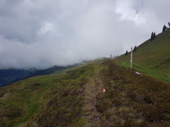 Hochalmsteig