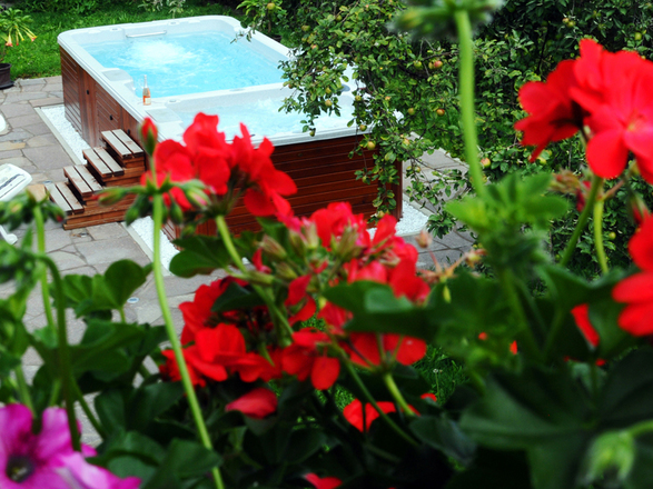 Schwimmbecken im Garten