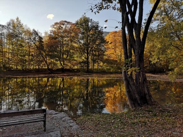 Teich im Matzenpark im Herbst