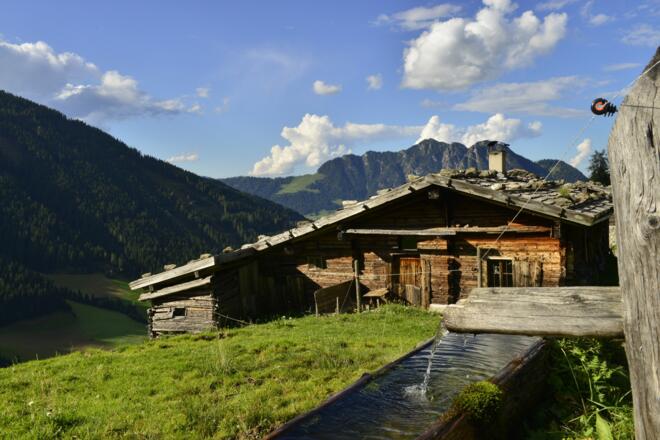 Stettauer Alm im Sommer
