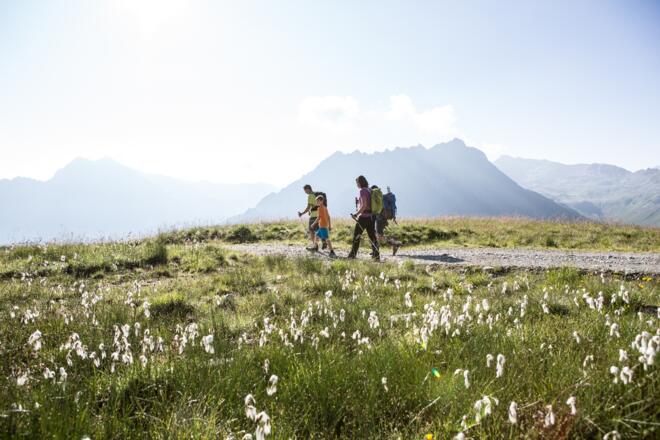 Retourweg Richtung Bergrestaurant Schafberg Hüsli