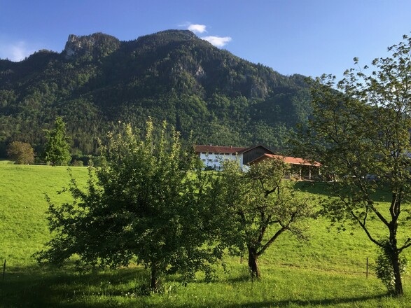 Blick von der Terrasse