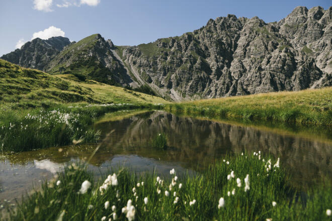 Teich am Gulmasteig (c) Dominic Berchtold / Vorarlberg Tourismus