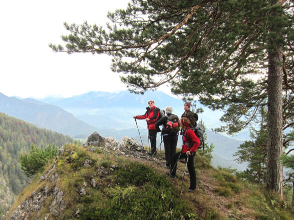 Aussichtspunkt am Weg zur Bärenriedlau