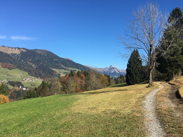 Etappe 3: "Alte Raggalerstraße" mit Blick ins Große Walsertal