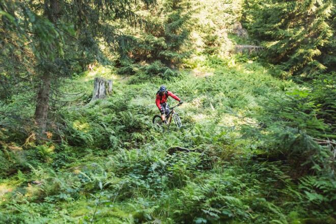 Matzalm Trail