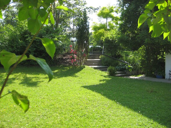 Garten mit Treppe