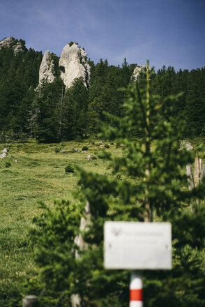 Felspyramiden bei Alpe Gamp  (c) Dominic Berchtold / Vorarlberg Tourismus