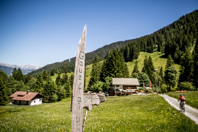 Gauertalhaus