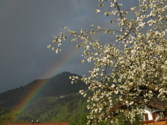 Regenbogen -Adersberger Josef-